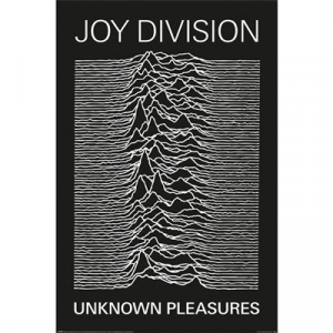 Joy Division - Unknown Pleasures Maxi Poster i gruppen MERCHANDISE / Merch / Pop-Rock hos Bengans Skivbutik AB (5630266)
