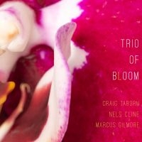 Trio Of Bloom - Trio Of Bloom i gruppen CD / Kommende / Jazz hos Bengans Skivbutik AB (5631206)