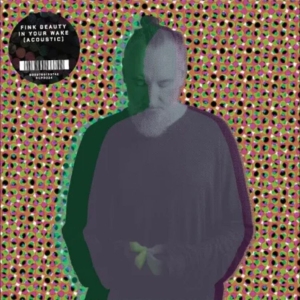 Fink - Beauty In Your Wake Acoustic i gruppen VI TIPSER / Fredagsutgivelser / 2025-07-18 hos Bengans Skivbutik AB (5631248)