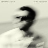 New Street Adventure - What Kind Of World? i gruppen VINYL / Kommende / Pop-Rock hos Bengans Skivbutik AB (5631337)
