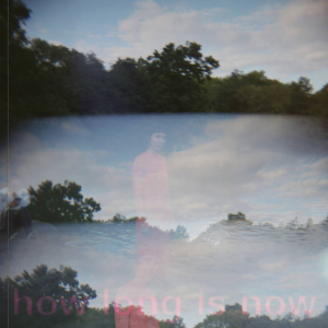 Anna Haus - How Long Is Now i gruppen VINYL / Pop-Rock hos Bengans Skivbutik AB (5631388)