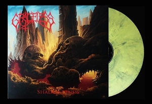 Graceless - Shadowlands i gruppen VINYL / Metal hos Bengans Skivbutik AB (5631836)