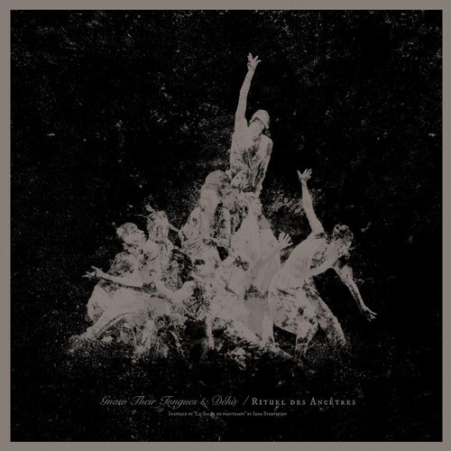 Deha & Gnaw Their Tongues - Rituel Des Ancetres i gruppen VINYL / Metal hos Bengans Skivbutik AB (5631945)