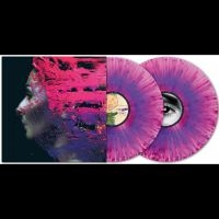 Wilson Steven - Hand.Cannot.Erase (10Th Anniversary i gruppen VINYL / Kommende / Pop-Rock hos Bengans Skivbutik AB (5631978)
