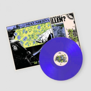Sekunderna - Hits (LP / Blå Vinyl) i gruppen VINYL / Kommende / Pop-Rock hos Bengans Skivbutik AB (5632047)