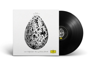 Snorri Hallgrímsson - The Importance Of Birds i gruppen VINYL hos Bengans Skivbutik AB (5632298)