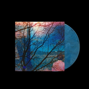 Idlewild - Idlewild i gruppen VINYL / Kommende / Pop-Rock hos Bengans Skivbutik AB (5632741)