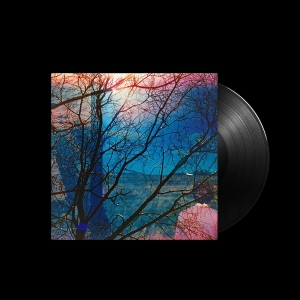 Idlewild - Idlewild i gruppen VINYL / Kommende / Pop-Rock hos Bengans Skivbutik AB (5632742)