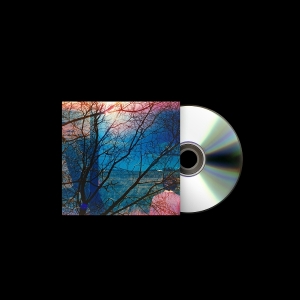 Idlewild - Idlewild i gruppen CD / Kommende / Pop-Rock hos Bengans Skivbutik AB (5632743)
