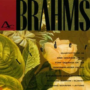 Johannes Brahms - Songs Op. 92, 42, 104, 103 i gruppen CD / Klassisk hos Bengans Skivbutik AB (5633086)