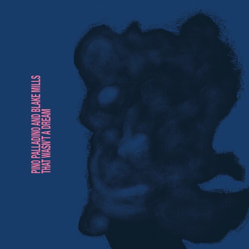 Pino Palladino Blake Mills - That Wasn't A Dream i gruppen VI TIPSER / Fredagsutgivelser / 2025-08-22 hos Bengans Skivbutik AB (5633485)