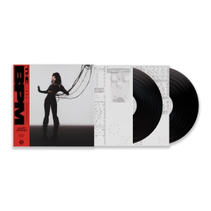 Sudan Archives - The Bpm i gruppen VINYL / Kommende / Dance-Techno,Pop-Rock hos Bengans Skivbutik AB (5633600)