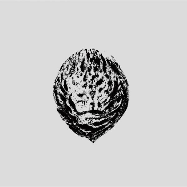 Black Lips - Bebop Armageddon (Detours & Offcuts i gruppen VI TIPSER / Fredagsutgivelser / 2025-09-19 hos Bengans Skivbutik AB (5633666)