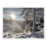 Panopticon - Laurentian Blue i gruppen CD / Kommende / Country hos Bengans Skivbutik AB (5633806)