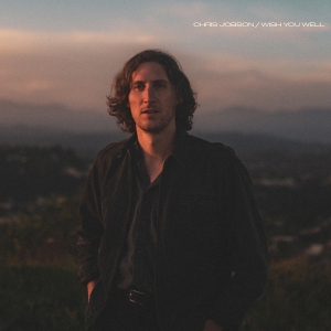 Chris Jobson - Wish You Well i gruppen VINYL / Pop-Rock hos Bengans Skivbutik AB (5634084)