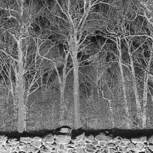 Pile - Sunshine And Balance Beams i gruppen VI TIPSER / Fredagsutgivelser / 2025-08-29 hos Bengans Skivbutik AB (5634410)