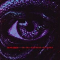 Denigrate - To The Goddess Unknown i gruppen VI TIPSER / Fredagsutgivelser / 2025-08-08 hos Bengans Skivbutik AB (5635034)