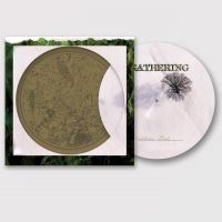 Gathering The - Nighttime Birds (Picture Vinyl Lp) i gruppen VINYL / Metal hos Bengans Skivbutik AB (5635322)