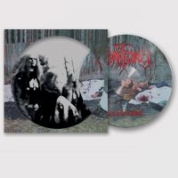 Vomitory - Raped In Their Own Blood (Picture V i gruppen VINYL / Kommende / Metal hos Bengans Skivbutik AB (5635323)