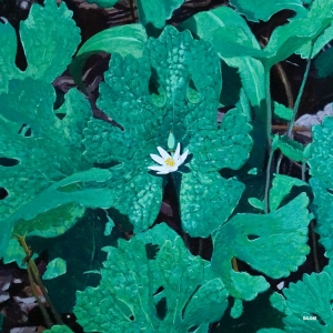 Early Fern - Wetland Interiors i gruppen VINYL / Kommende / Pop-Rock hos Bengans Skivbutik AB (5635603)