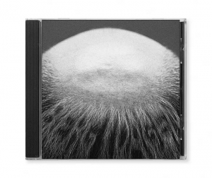 Vasas Flora Och Fauna - Berg I Dalen i gruppen CD / Kommende / Pop-Rock hos Bengans Skivbutik AB (5635805)