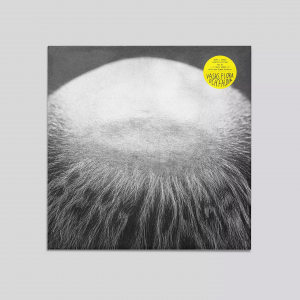 Vasas Flora Och Fauna - Berg I Dalen - Limited Edition (2Lp) i gruppen VINYL / Kommende / Pop-Rock hos Bengans Skivbutik AB (5635807)
