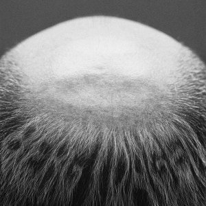 Vasas Flora Och Fauna - Berg I Dagen (Ltd Ed 2Lp) i gruppen VI TIPSER / Fredagsutgivelser / 2025-10-17 hos Bengans Skivbutik AB (5635807)