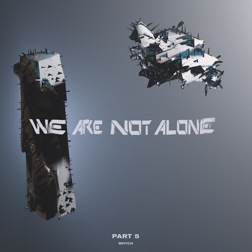 Various Artists - We Are Not Alone - Part 5 i gruppen VINYL / Pop-Rock hos Bengans Skivbutik AB (5635974)