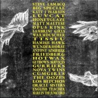 Various Artists - A Hideous Collective i gruppen VI TIPSER / Fredagsutgivelser / 2025-09-05 hos Bengans Skivbutik AB (5635981)
