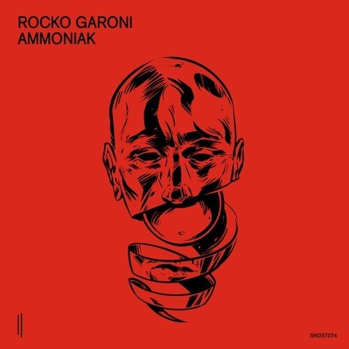 Rocko Garoni - Ammoniak i gruppen VINYL / Pop-Rock hos Bengans Skivbutik AB (5636375)