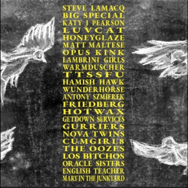 Various Artists - A Hideous Collective i gruppen CD / Pop-Rock hos Bengans Skivbutik AB (5636417)