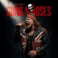 Guns N Roses - The Rock N' Roots Of Guns N Roses i gruppen VINYL / Kommende / Metal hos Bengans Skivbutik AB (5636974)