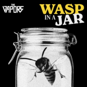 The Vapors - Wasp In A Jar i gruppen CD / Punk hos Bengans Skivbutik AB (5637093)