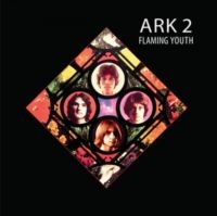Flaming Youth - Ark 2 i gruppen VINYL / Pop-Rock hos Bengans Skivbutik AB (5637227)