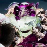 Dragongirl - Hot Blue i gruppen VI TIPSER / Fredagsutgivelser / 2025-10-10 hos Bengans Skivbutik AB (5638988)