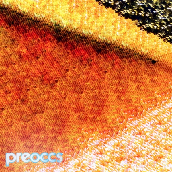 Preoccupations - Mur/Ponr (Yellow Vinyl) i gruppen VI TIPSER / Fredagsutgivelser / 2025-10-10 hos Bengans Skivbutik AB (5639155)