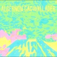Algernon Cadwallader - Trying Not To Have A Thought (Opaqu i gruppen VI TIPSER / Fredagsutgivelser / 2025-09-12 hos Bengans Skivbutik AB (5639619)