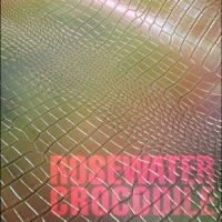Cousin Tony's - Brand New Firebird - Rosewater Croc i gruppen VINYL / Kommende / Pop-Rock hos Bengans Skivbutik AB (5639631)
