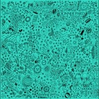 Donner Party - Donner Party i gruppen VI TIPSER / Hjem - Vinyl Nyheter & Kommende hos Bengans Skivbutik AB (5639686)