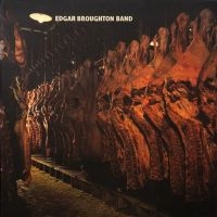 Broughton Edgar Band - The Edgar Broughton Band i gruppen VINYL / Nyheter / Pop-Rock hos Bengans Skivbutik AB (5639732)