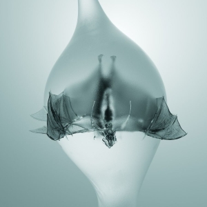 Unprocessed - Angel i gruppen CD / Kommende / Metal hos Bengans Skivbutik AB (5639934)