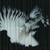Scaler - Endlessly i gruppen VINYL / Kommende / Pop-Rock hos Bengans Skivbutik AB (5639962)