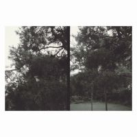 Okkyung Lee - Just Like Any Other Day (***) : Bac i gruppen VI TIPSER / Fredagsutgivelser / 2025-09-05 hos Bengans Skivbutik AB (5640185)