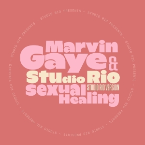 Marvin Gaye & Studio Rio - Sexual Healing i gruppen VINYL / Kommende /  hos Bengans Skivbutik AB (5640370)