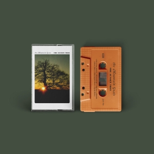 The Mountain Goats - The Sunset Tree i gruppen Kommende / Pop-Rock hos Bengans Skivbutik AB (5640539)