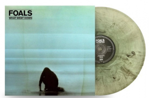 Foals - What Went Down (10Th Anniversary) i gruppen VINYL / Kommende / Pop-Rock hos Bengans Skivbutik AB (5640565)