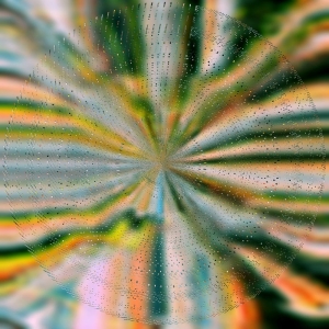 Hoffmann Nils - Everlight i gruppen VINYL / Kommende / Pop-Rock hos Bengans Skivbutik AB (5640698)