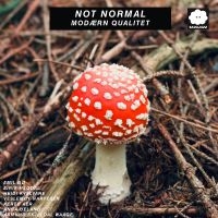 Not Normal - Modærn Qualitet i gruppen CD / Kommende / Jazz hos Bengans Skivbutik AB (5640792)
