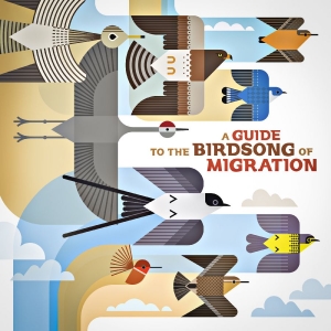 Various Artists - A Guide To The Birdsong Of Migratio i gruppen VINYL / Kommende / Pop-Rock hos Bengans Skivbutik AB (5640906)