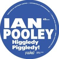 Ian Pooley - Higgledy Piggledy! i gruppen VINYL / Kommende / Pop-Rock hos Bengans Skivbutik AB (5640921)
